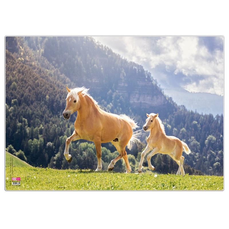 VELOFLEX Schreibunterlage Pferde 35x50cm