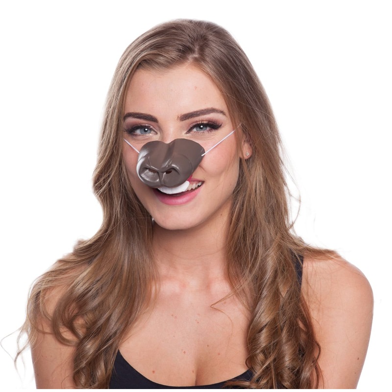 Animal nose horse brown