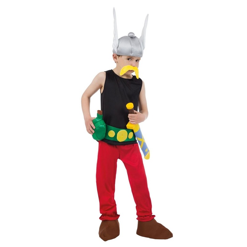 Asterix kids costume deluxe 104