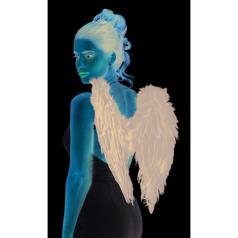 Fallen Angel Wings Black