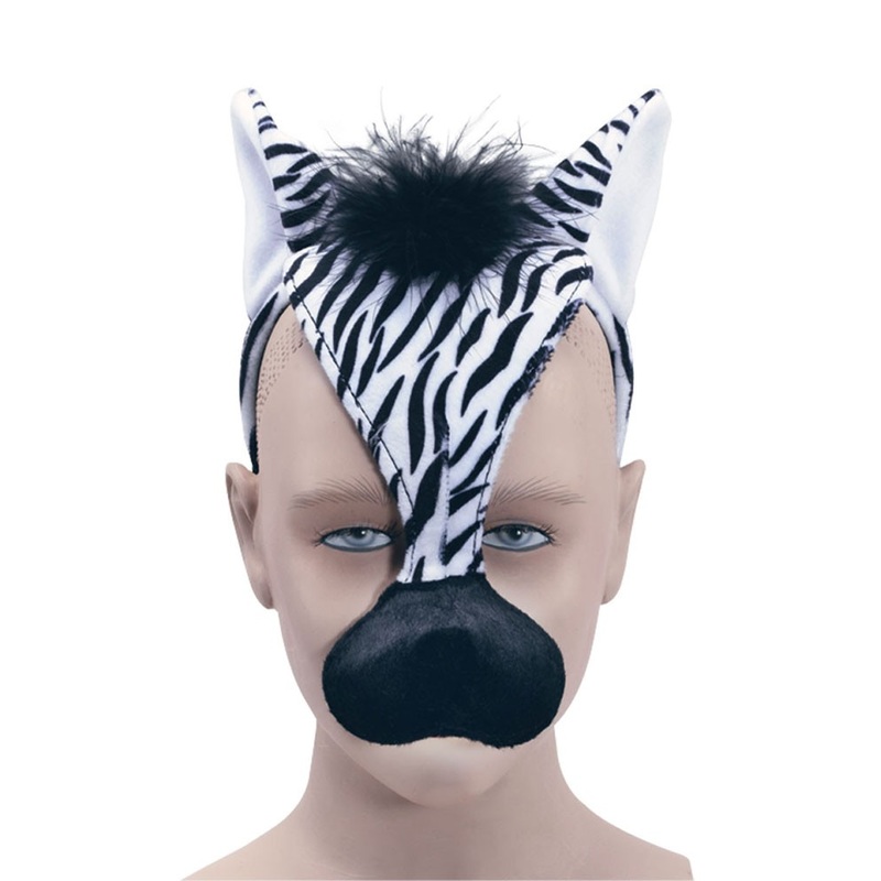 Zebra sound mask