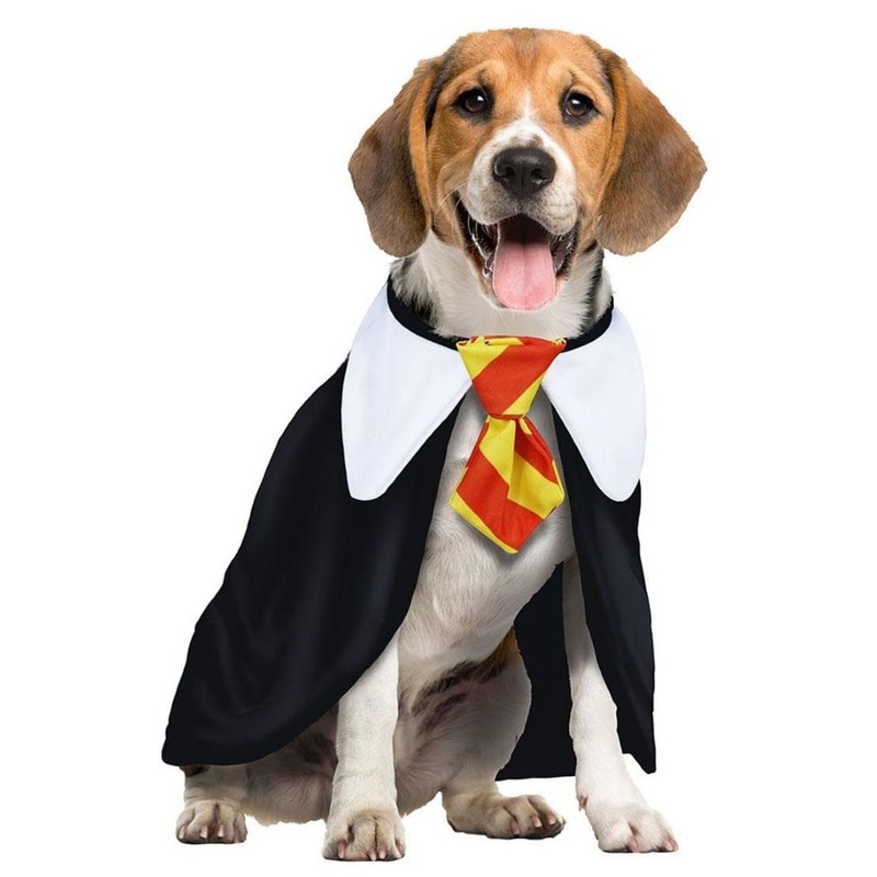 Sorcerer's Apprentice Dog Costume S