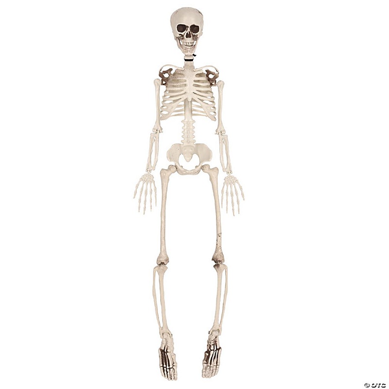 Beistle - Plastic Skeleton - 1 Pack