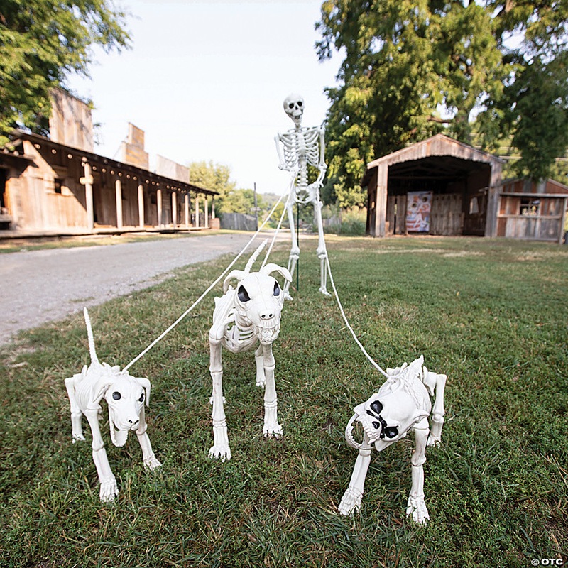 Skeleton Dog Walker Plastic Halloween Decorating Kit - 4 Pc.
