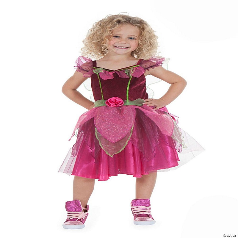 Pink Fairy Toddler Costume  2/4 Years