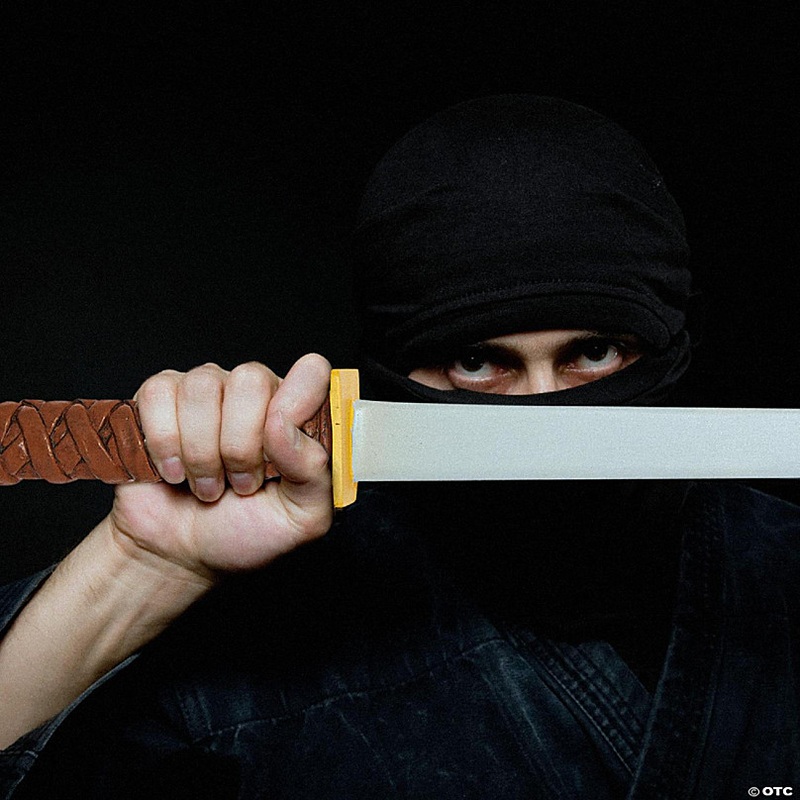 TMNT Leonardo Katana Costume Accessory