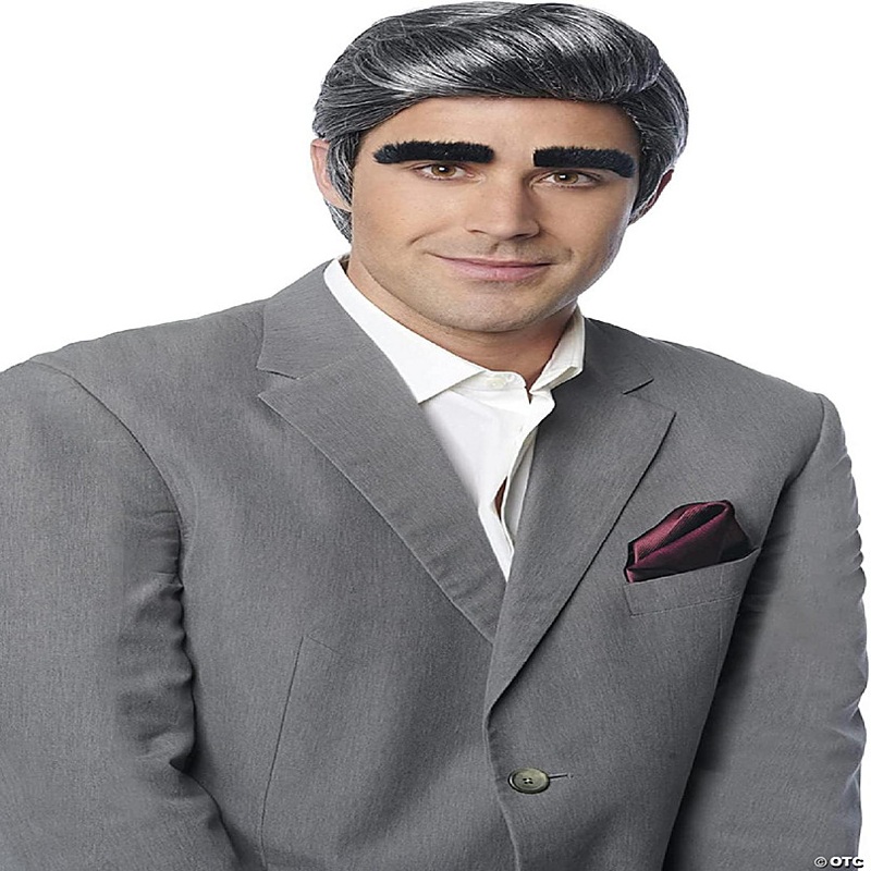 Johnny Adult Costume Wig  Includes Eyebrows