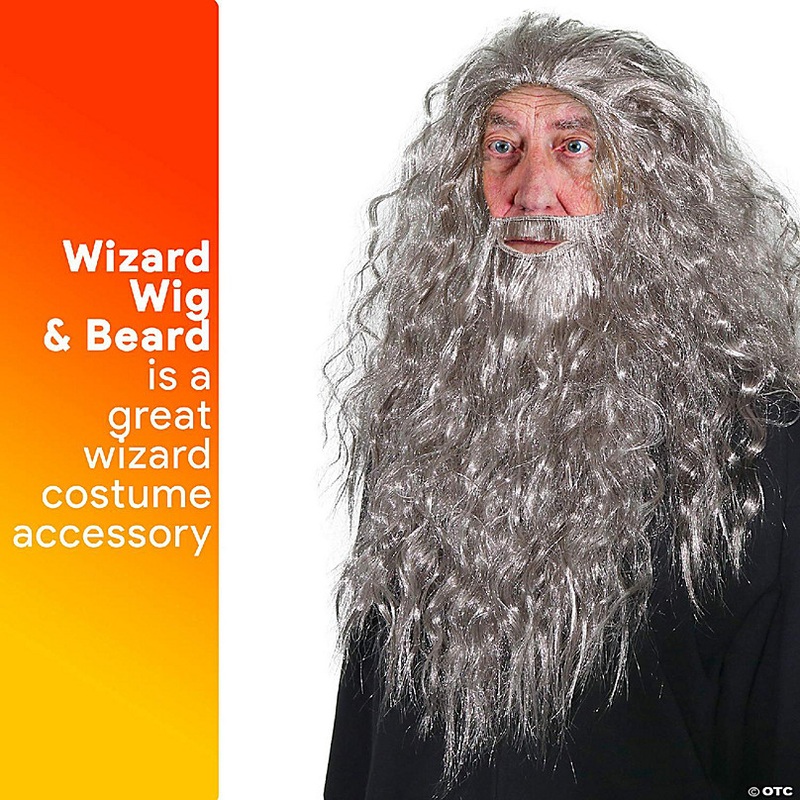 Skeleteen Grey Wig and Beard - Long Gray Wizard Wig and Beard Costume Accessory for Adults and Kids
