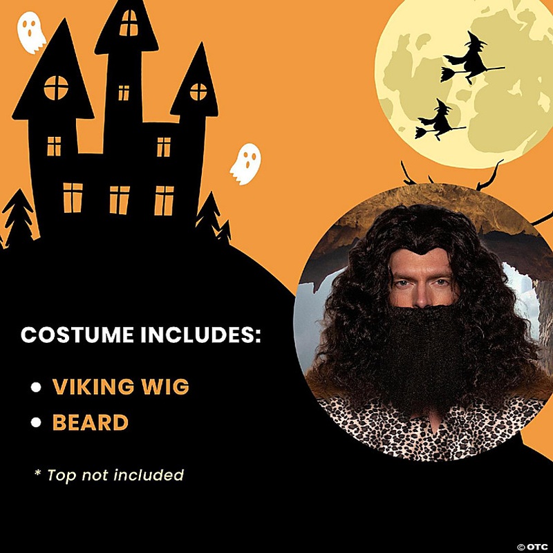 Viking Wig & Beard Adult Costume Set  Black
