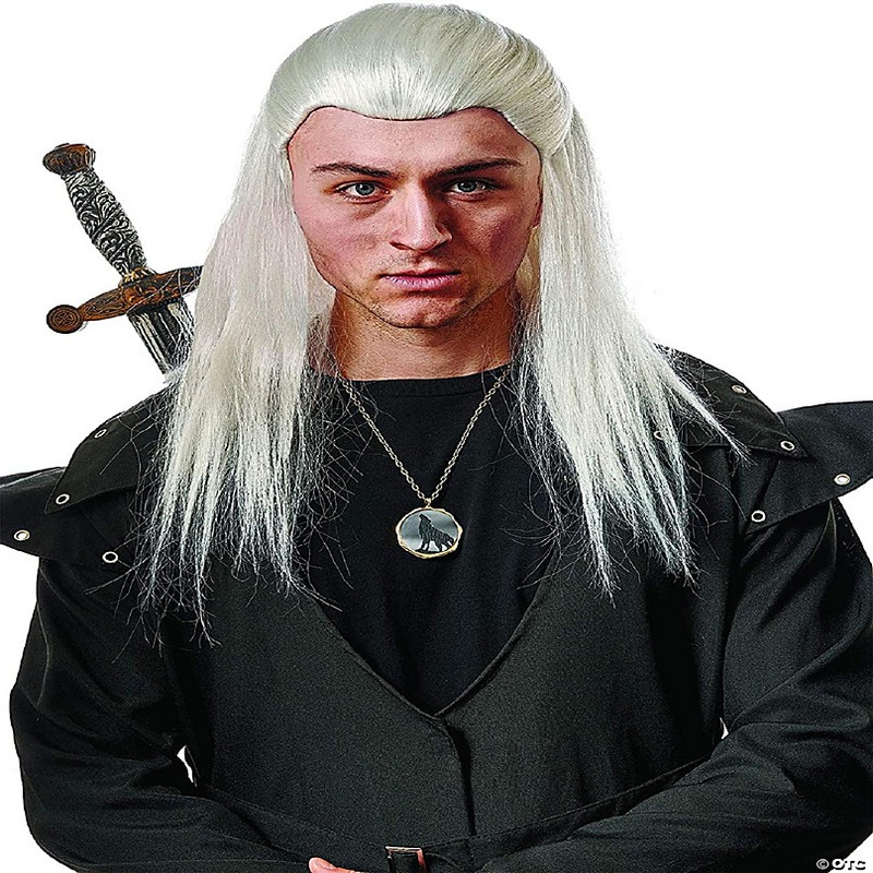 Wig Medieval Knight Adult Costume Wig  Grey
