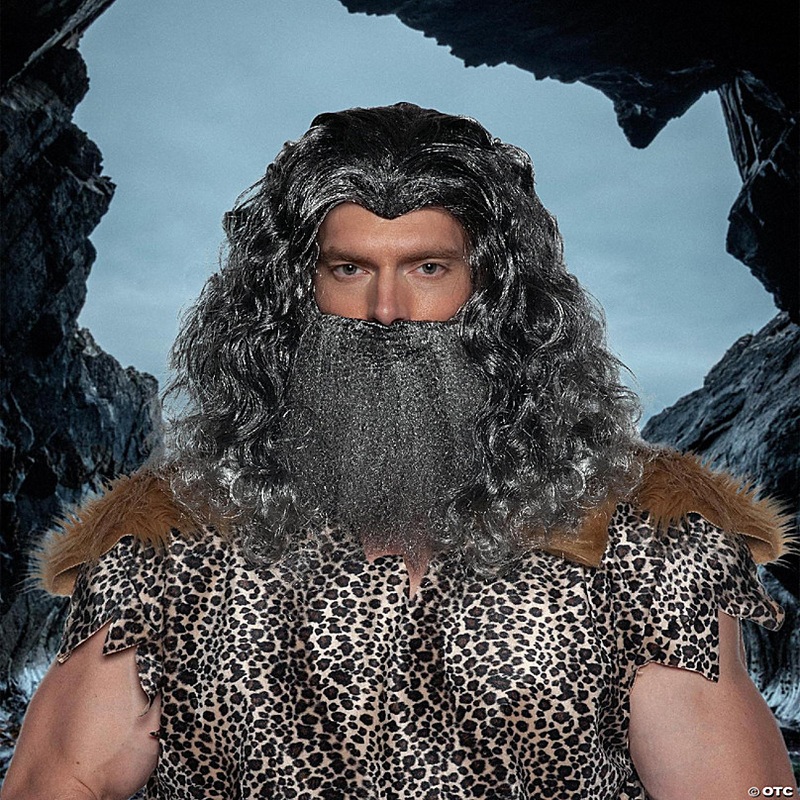 Viking Wig & Beard Adult Costume Set  Grey