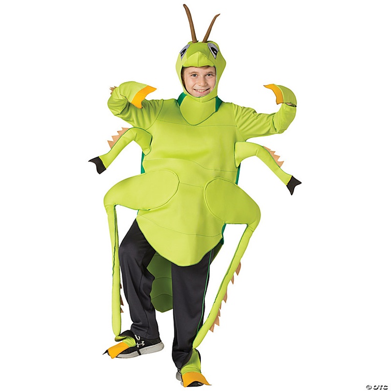 Kids Grasshopper Costume