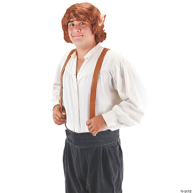 Adults Bilbo Baggins Wig