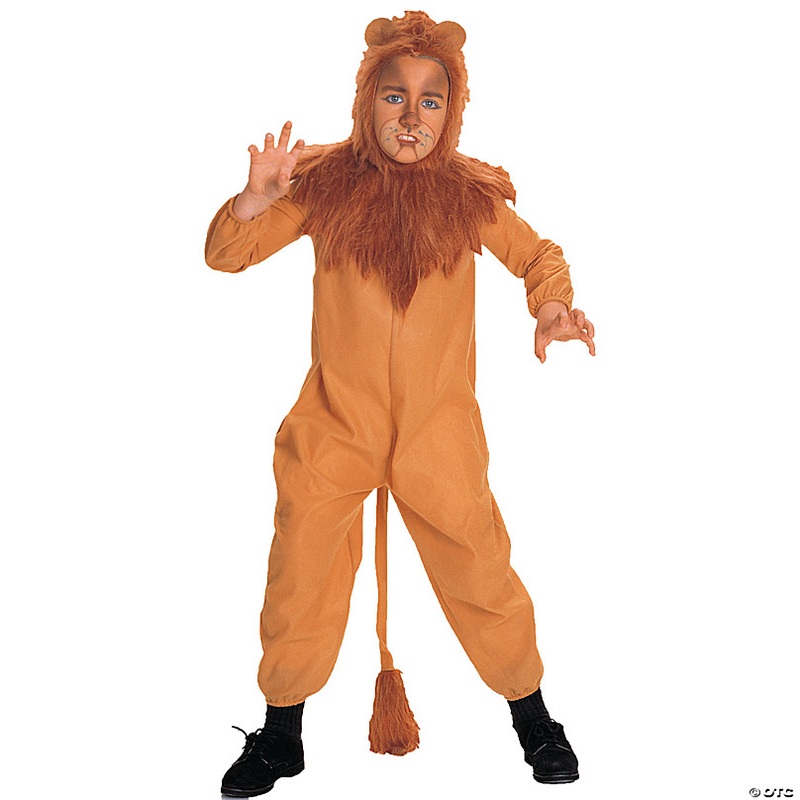 Boy's Wizard of Oz Cowardly Lion Costume - Small