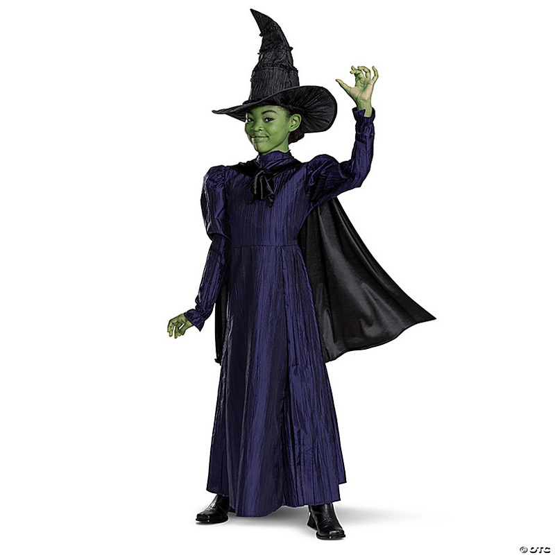 Girls Deluxe Wicked Elphaba Purple Dress Costume