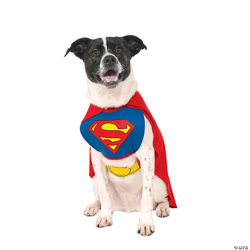 Superman Dog Costume