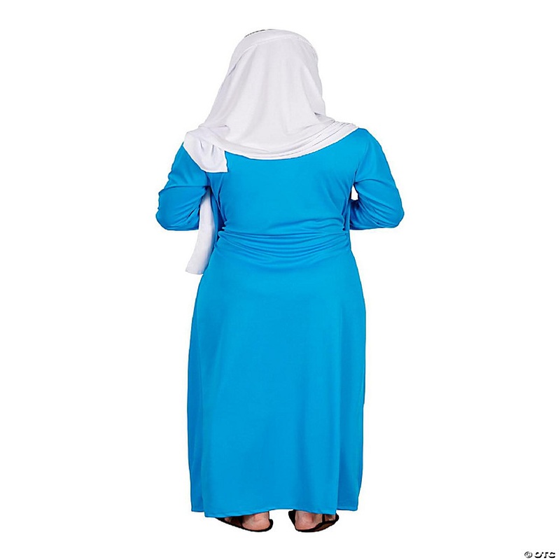 Mary Adult Biblical Costume  One Size