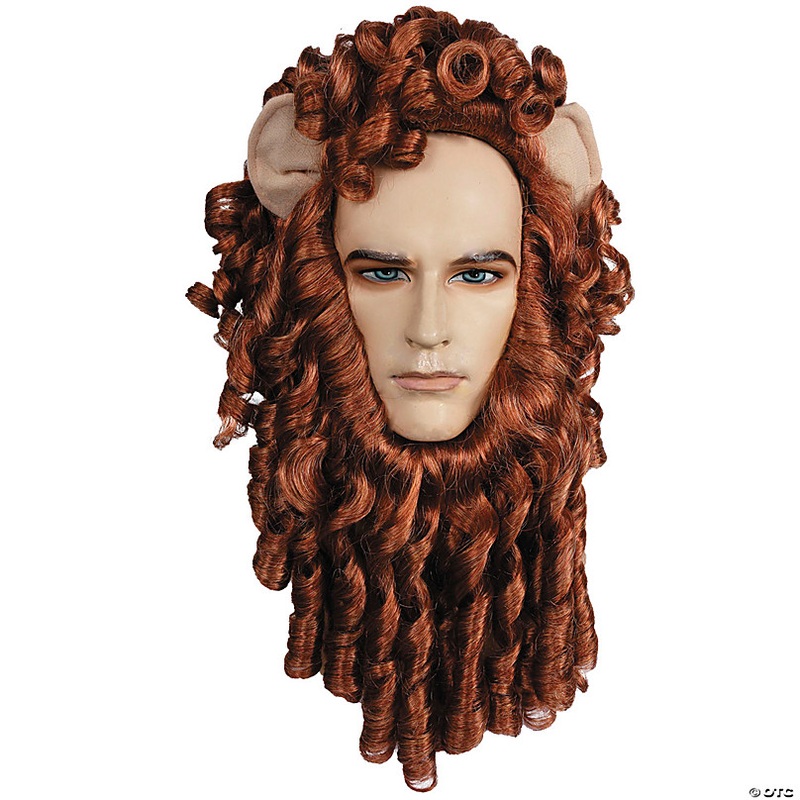 Men's Curly Lion Wig Set