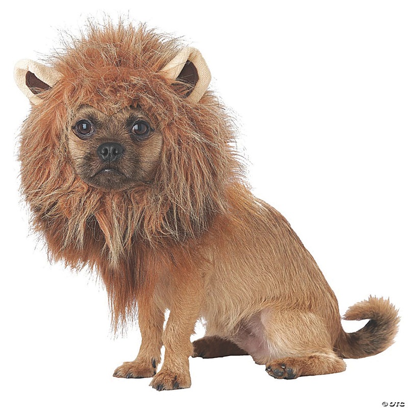 King of the Jungle Dog Costume