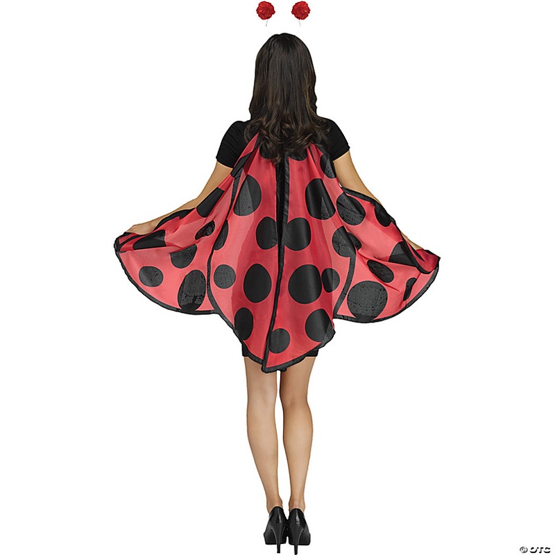 Lady Bug Wings & Headband Set