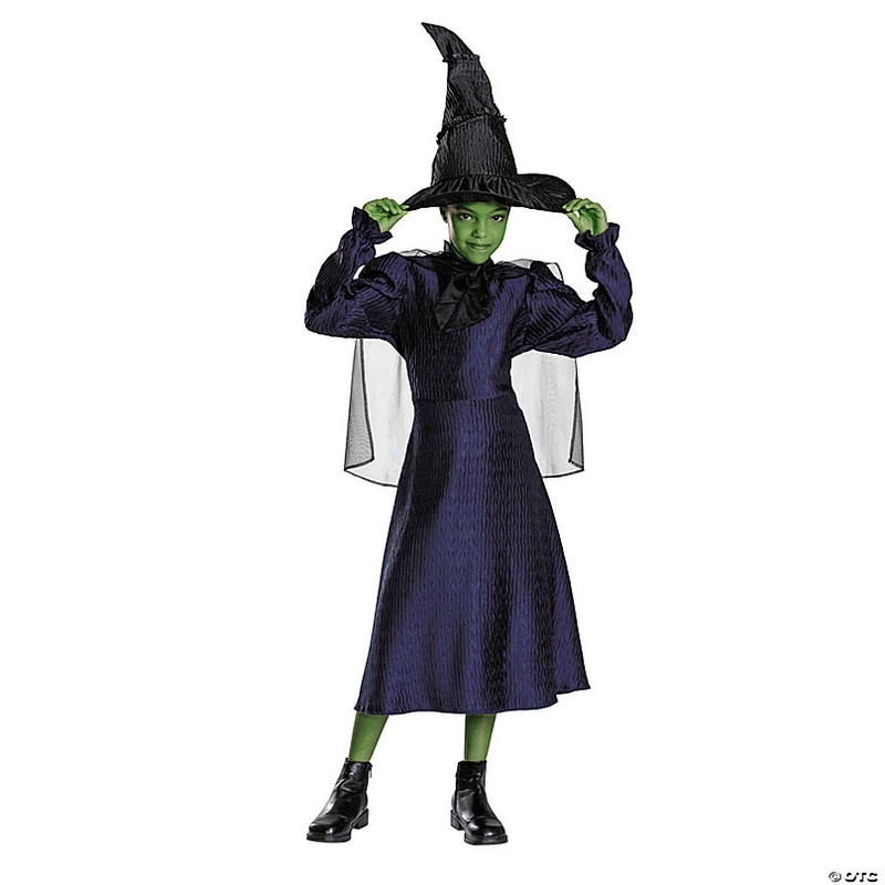 Kids Classic Wicked Elphaba Black & Purple Dress Costume