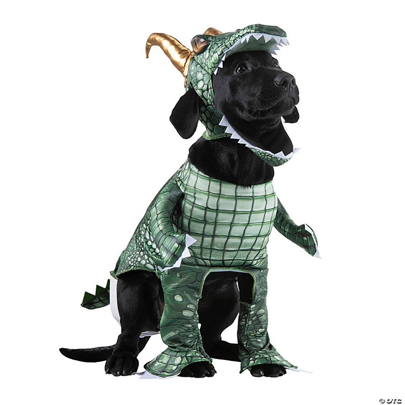 Loki Pet Classic Costume - X Large