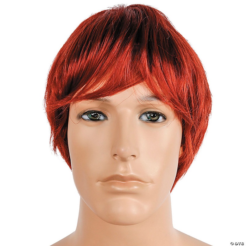 Men's Bargain Surfer Style Wig