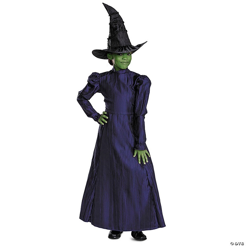 Toddler Deluxe Wicked Elphaba Purple Dress Costume - 3T-4T