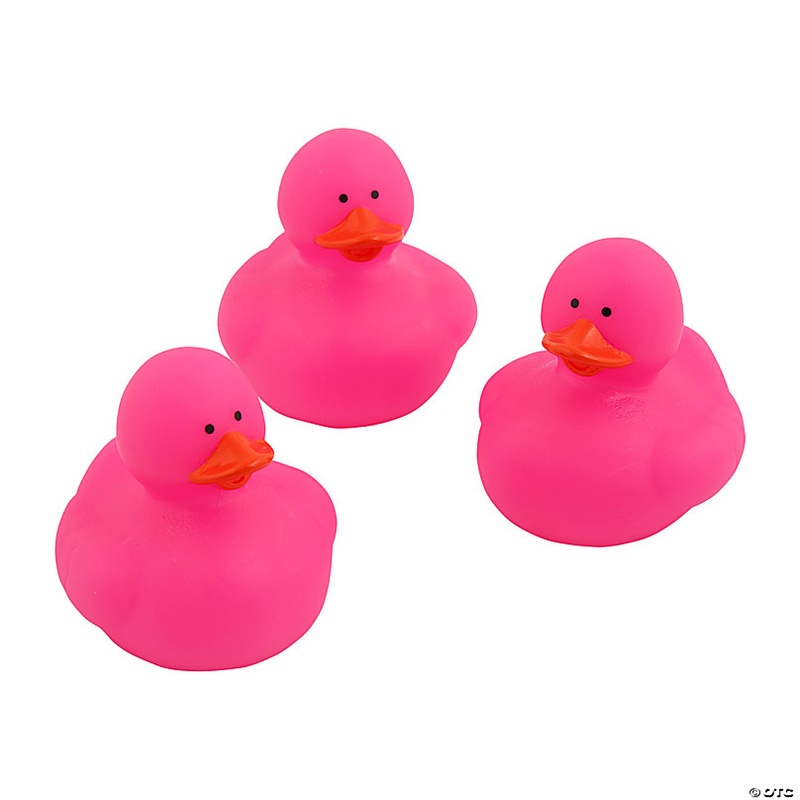 Pink Rubber Ducks - 12 Pc.