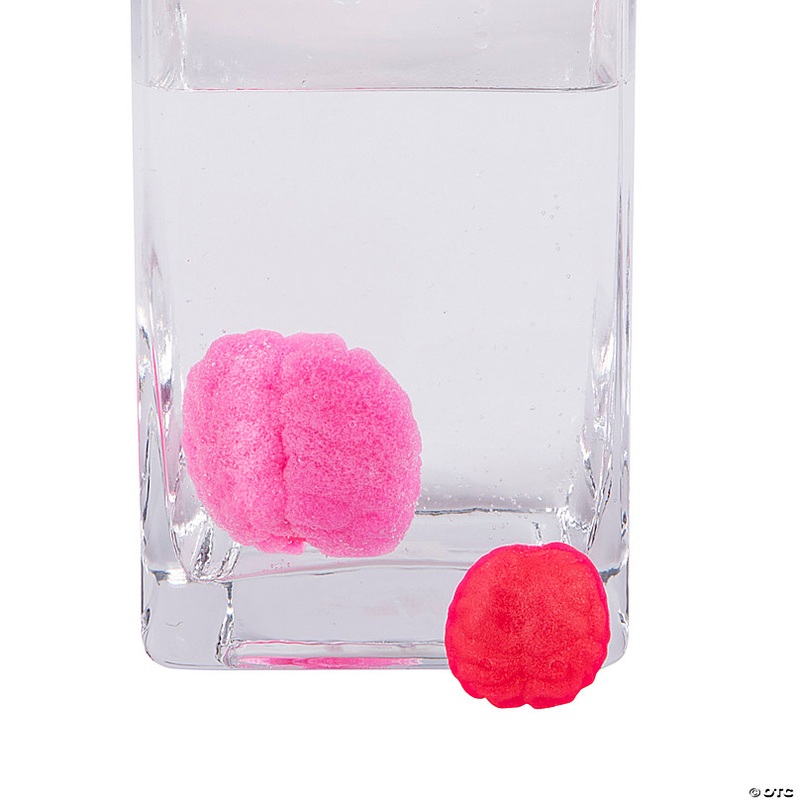 Watch it Grow Brains Water Toy - 36 Pc.