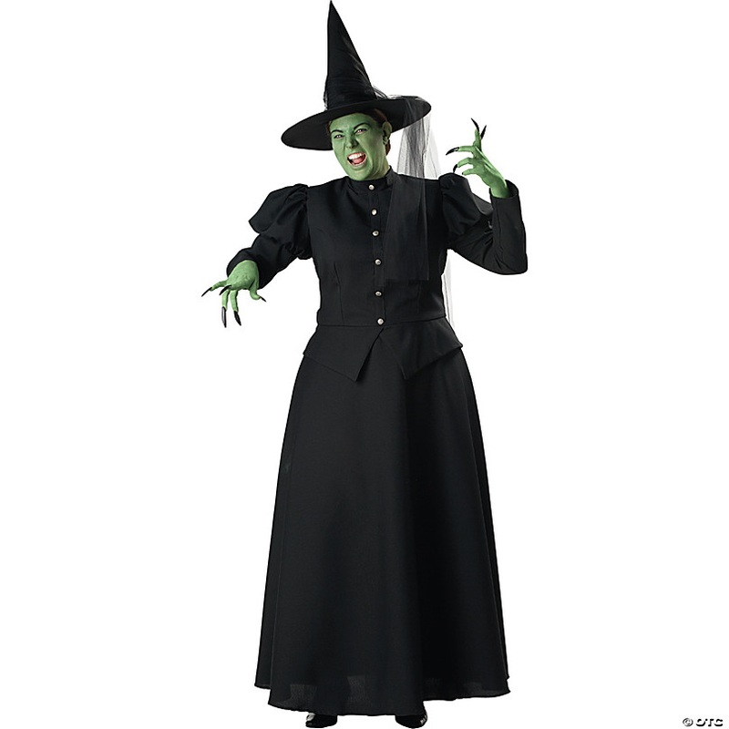 Women's Plus Size Witch Costume