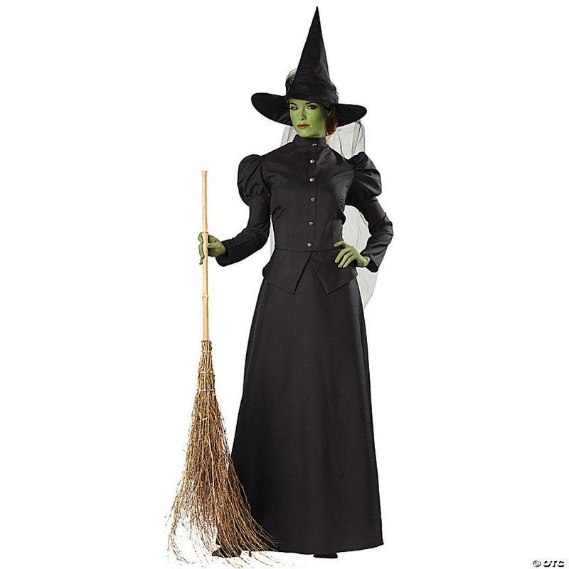 Womens Deluxe Classic Witch Costume