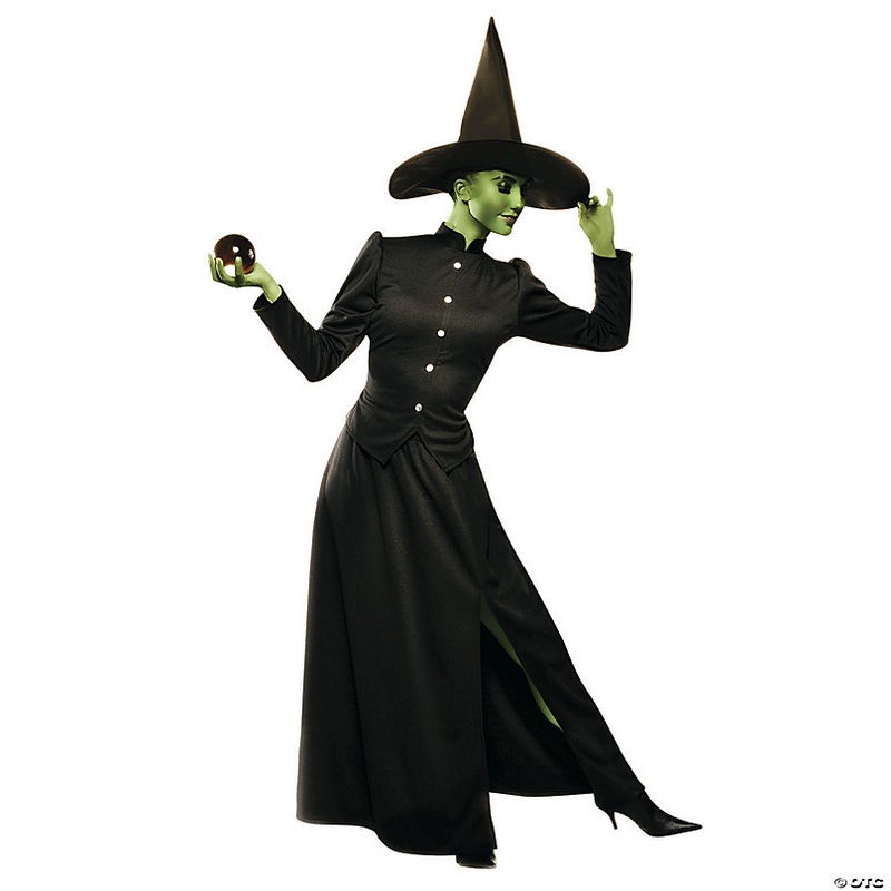 Womens Plus Size Deluxe Classic Witch Costume