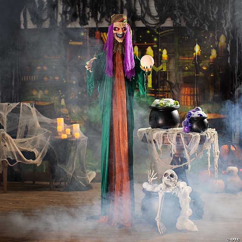 9 Ft. Fortune Teller Witch Decorating Kit - 7 Pc.
