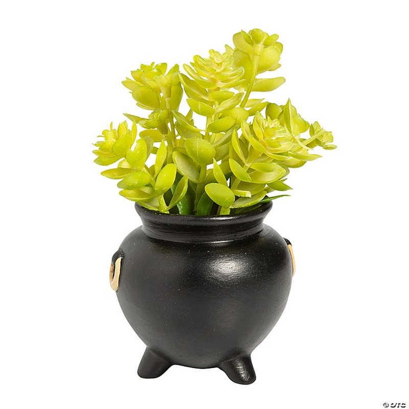 DIY Cauldron Ceramic Planters - 12 Pc.