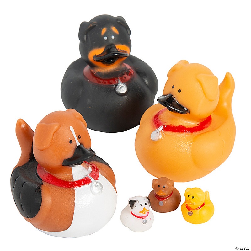 3/4 - 2 Micro & Regular Dog Rubber Duck Toys Assortment Kit - 36 Pc.