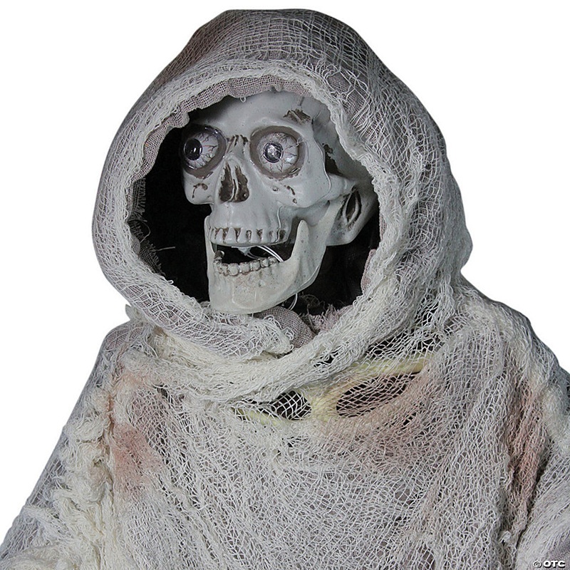 Northlight 65 Gray and Black Master of Death Standing Animated Halloween decor