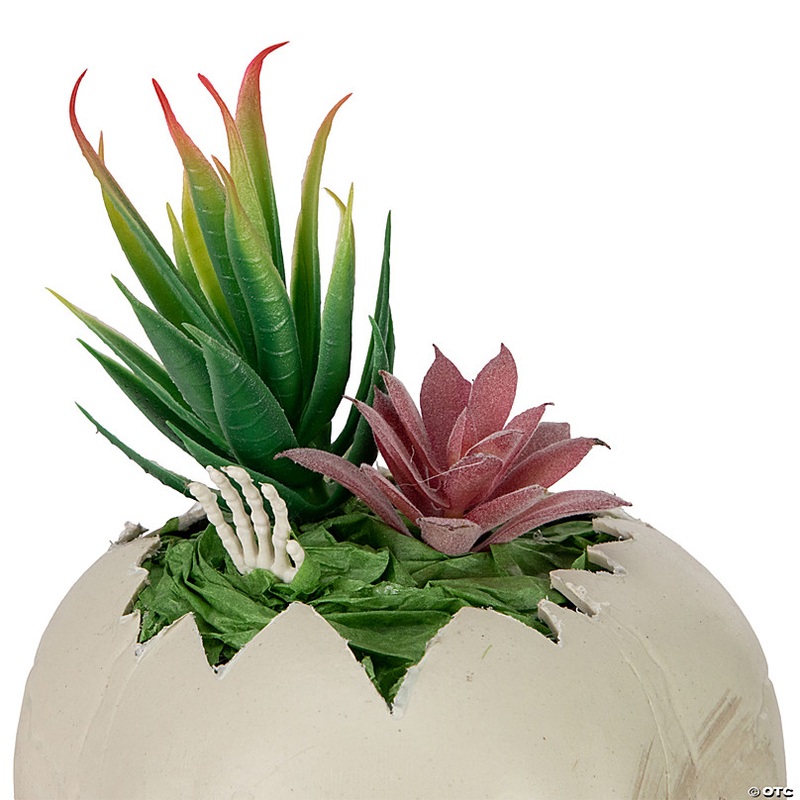 8.75 LED Lighted Succulent Halloween Skull Planter