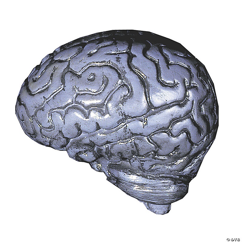 Grey Human Brain Halloween Decoration