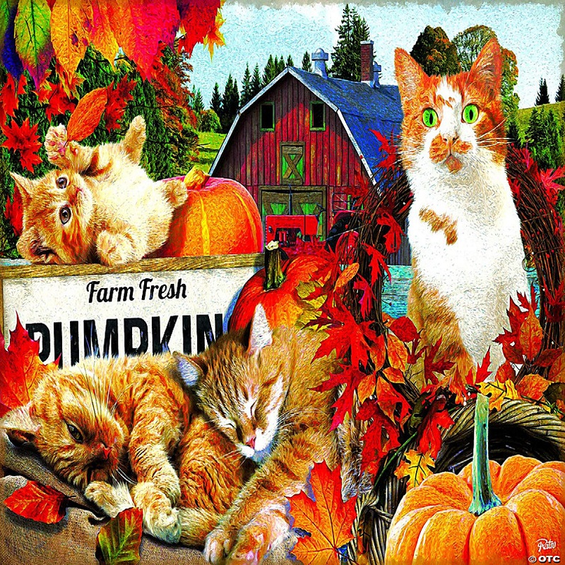 Sunsout Farm Fresh Pumpkins 300 pc  Jigsaw Puzzle