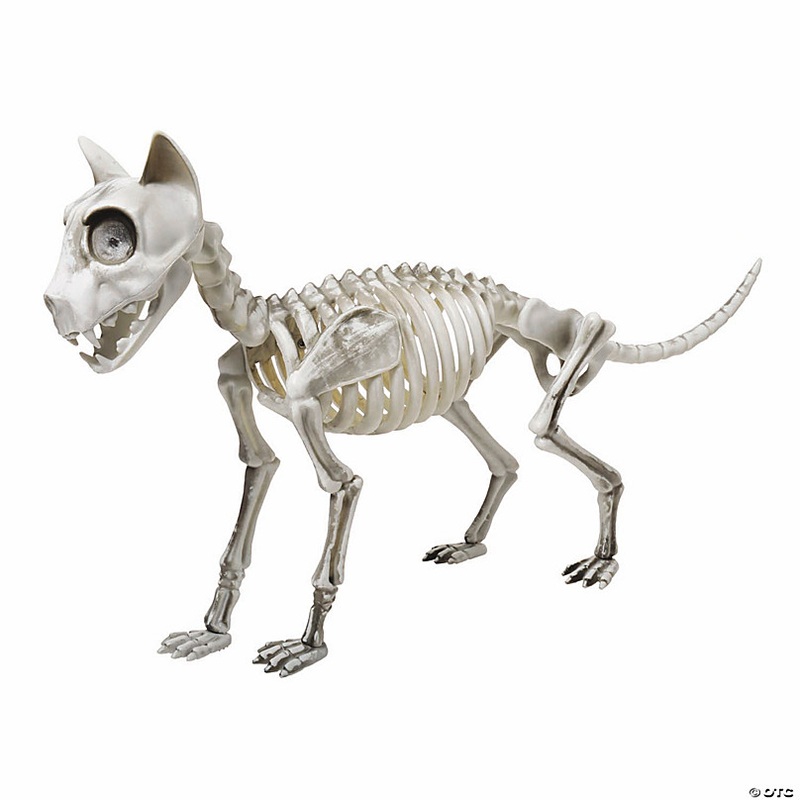 20 x 4 x 12 Articulated Skele-Cat Halloween Decoration