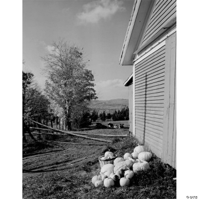 Posterazzi SAL255424033 USA Vermont Glover Apples & Pumpkins in Front of Barn Poster Print - 18 x 24 in.