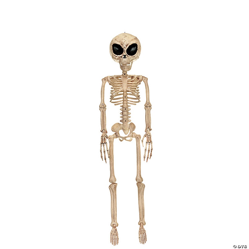 37 Alien Skeleton Decoration