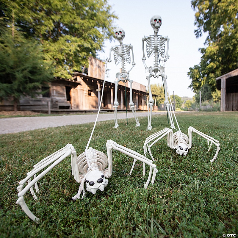 Spider Skeleton Halloween Decoration