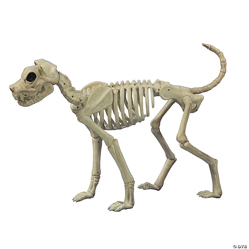 3 Ft. x 21 Buster Bonez Dog Skeleton Platic Halloween Decoration