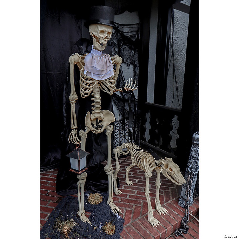 36 1/2 x 62 1/4 Animated Skeleton & Dog Halloween Decorations