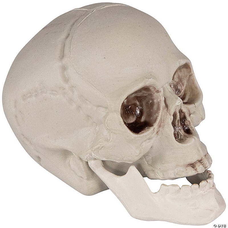 Set of 6 Skull Halloween Decorations 4.75