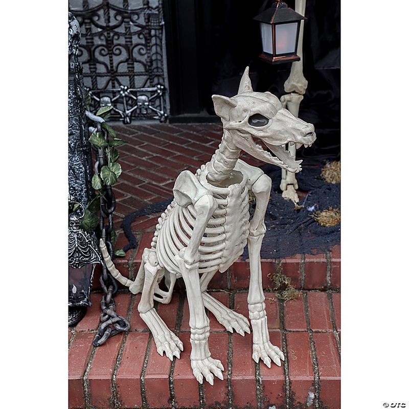 29 Doberman Skeleton Halloween Decoration