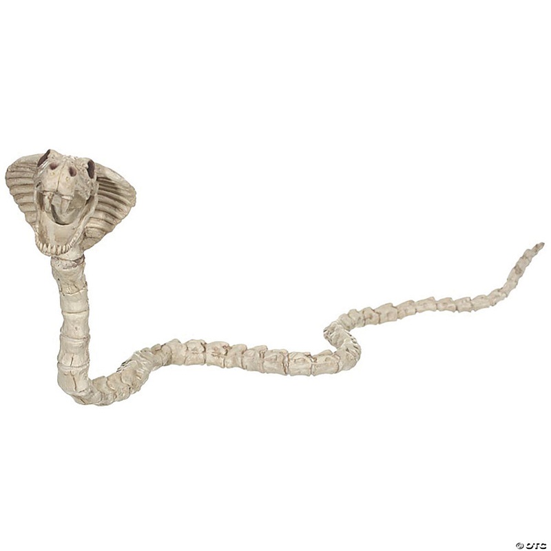 39 Cobra Skeleton Halloween Decoration