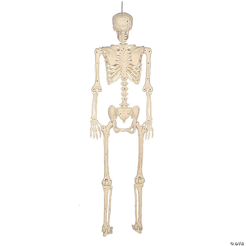 BOO BOX 5' Animated Full Size Halloween Skeleton Decoration, Lightup Eyes and Speaker